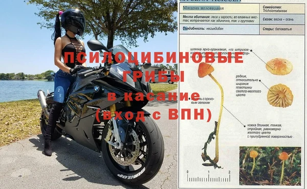 каннабис Кодинск