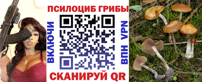 Купить  Лянтор  Псилоцибиновые грибы мухоморы 
